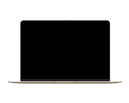 Isolated gold laptop computer on the white background