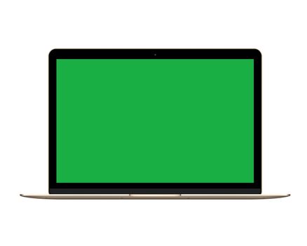 The isolated gold laptop computer mockup with green screen