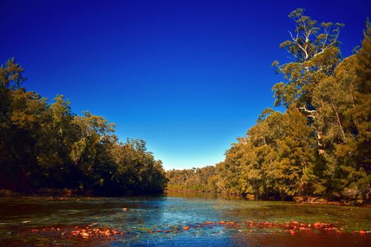 Shallow Crossing in NSW Australia