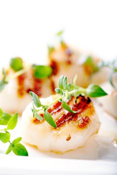 Grilled scallops with thyme leafs on white plate, close up