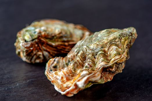 Raw oysters on stone surface