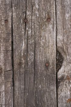 Old wooden texured surface closeup. Moss and relief on surface. Stock photo of old wooden pattern of aged boards with moss. Brown and gray colors on photo.