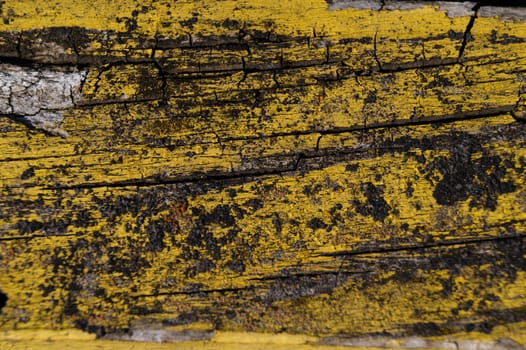 A part of old yellow wooden fence. The yellow paint on wood is old and cracked. Perfect painted wooden texture.