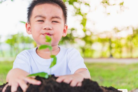 World Environment Day Environment Concept, Hand of Asian cute little cheerful child boy planting young tree on black soil on green garden background