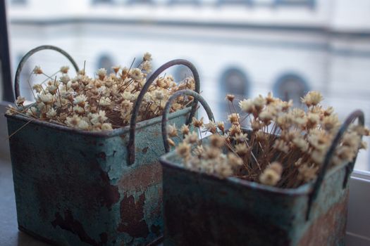 Bunch of tinny artificial flowers, hay colored, inside two blue metal boxes, very old and rusted