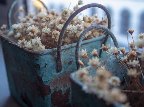 Bunch of tinny artificial flowers, hay colored, inside two blue metal boxes, very old and rusted