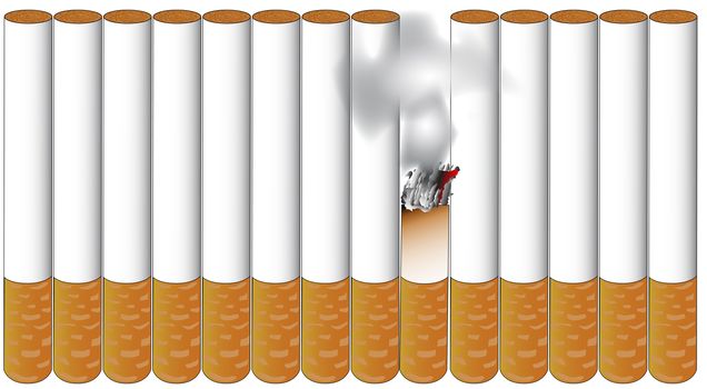 A few cigarettes standing in line with one burning away all isolated over a white background