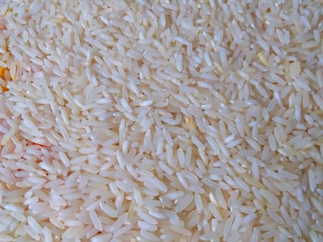 the raw rice grain