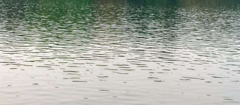 Tranquil standing water surface. Natural pattern texture and colour. Sunlight reflection. Nature photography background. Copy space room for text on front side of the image.