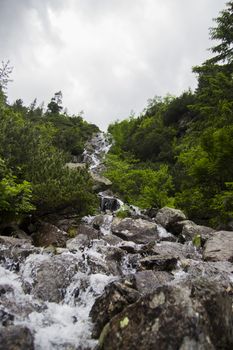 Waterfall into Alps mountains. High rocks covered by green plants on cloudy sky background. Waterfall at the european alps. Europe