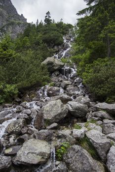 Waterfall into Alps mountains. High rocks covered by green plants on cloudy sky background. Waterfall at the european alps. Europe