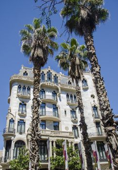 Palm trees against a blue sky and building with thin clouds in Barcelona, Spain. Beautiful blue sunny day. Tree palm trees in hot summer day against sky and house