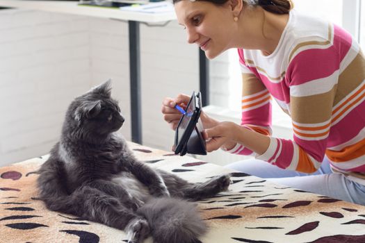 Girl shows the cat sitting on the bed, tablet computer screen