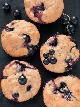 Muffins with black currant on dark background close up. Top view or flat lay