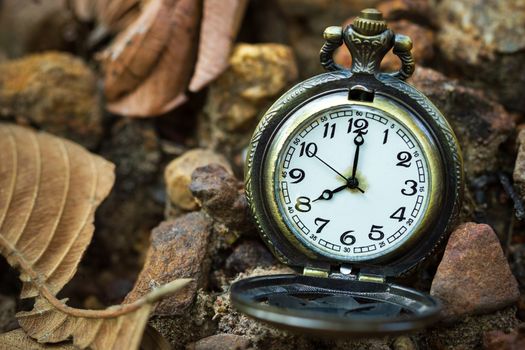 Vintage old pocket watch placed on the ground in forest and morning sunlight. At 8 o’clock. Closeup and copy space.