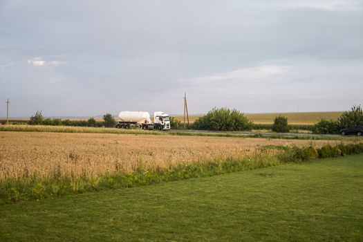 Truck on the road moving through wheat fields. Transportation