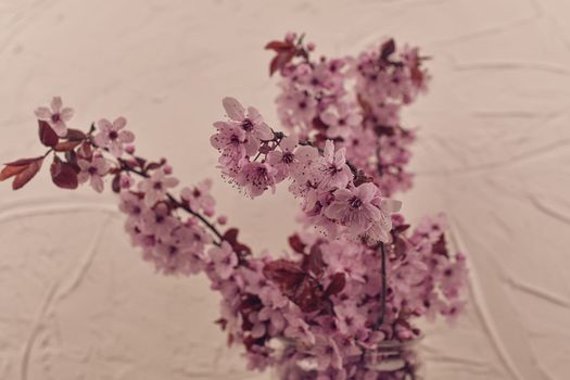 Pink cherry blossom twigs in vase on white textured background. Close up. Selective focus. Minimalism and reductivism concept.  Shallow DOF, retro haze