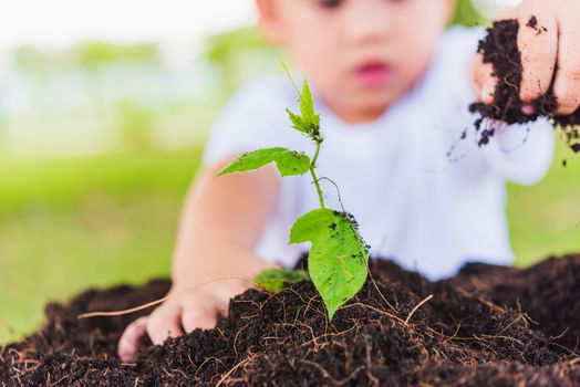 World Environment Day Environment Concept, Hand of Asian cute little cheerful child boy planting young tree on black soil on green garden background