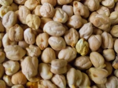 raw chane or chick pea