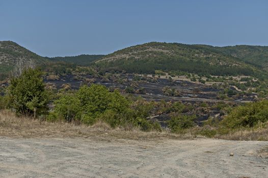 View of after forest fire in the Sredna gora mountain, Bulgaria