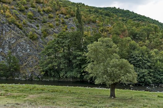 Part of the beautiful valley of Topolnitsa River through Sredna Gora Mountain, Bulgaria