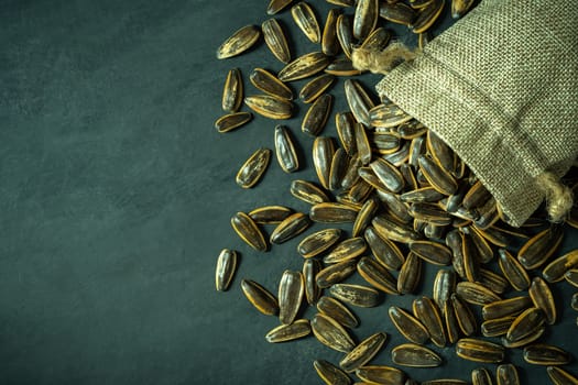 Sun flower seeds in small burlap bag on black cement floor. Top view and copy space for text. Concept of agriculture and organic farm.