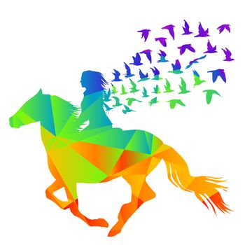 Abstract geometrical pattern of woman rider with birds