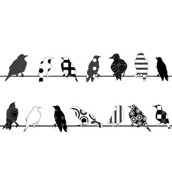 Birds with different pattern on wires over white background