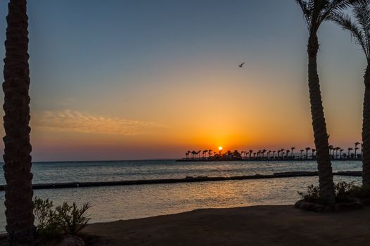 Sunrise on a peninsula of Hurghada across a row of palm trees on the Red Sea in Egypt