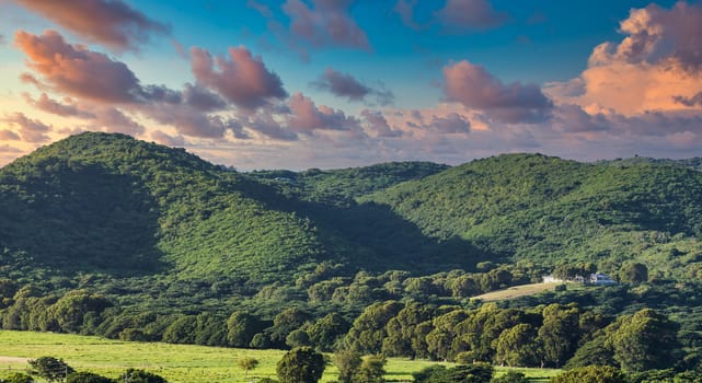 Hills on Green Tropical Coast in the Caribbean