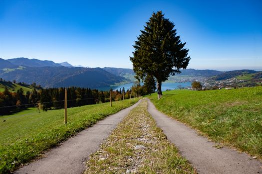 road with tree going off into the horizon. Going away