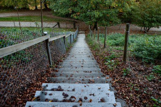 Concrete steps going down in a swiss forrest