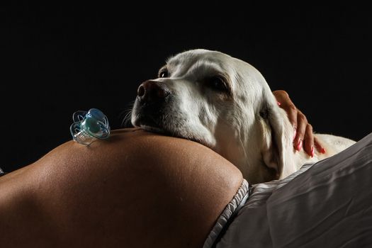 stomach of a pregnant woman on black background with a dog