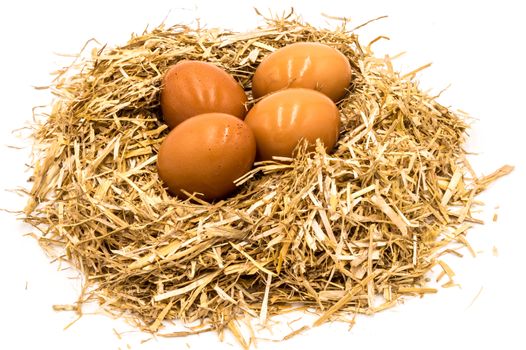 Eggs on a straw nest on a white background