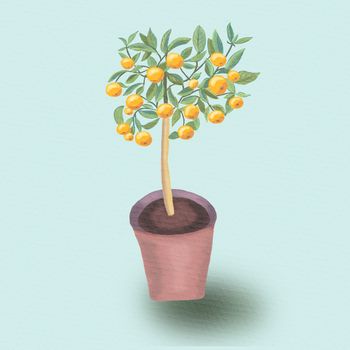  Watercolor Tangerine tree in the pot on the blue background. Houseplant citrus fruit tree illustration. 