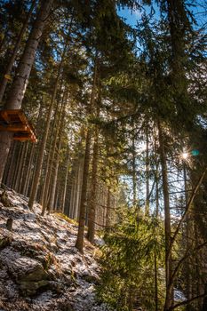 Rope Park in Krkonose. Recreation, entertainment, adrenaline sport. Climbing rides, zipline, rope snowboard. playing sports in nature.