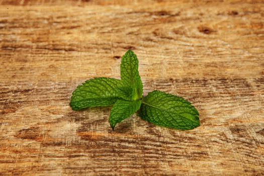 simple mint leaf shot on wood background. Simple mint leaf on wood background