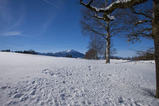 clear blue sky with snow in the mountains of Switzerland, Zugerberg. Trees and mountains
