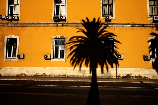 shadow of a palm tree on an old town building in portugal. Yellow building