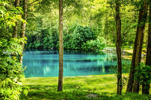 calm river in green countryside in Switzerland. Green trees and blue lake