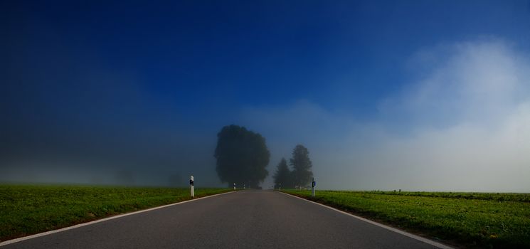 road to the future. Foggy day with road going to the horizon. Road, blue sky and trees