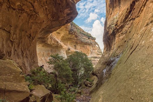 View of Echo Ravine, a sandstone gorge at Golden Gate in the Free State Province