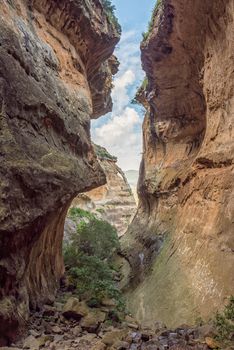 View of Echo Ravine, a sandstone gorge at Golden Gate in the Free State Province