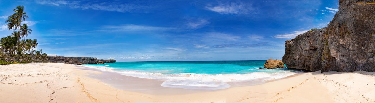 Beaches in the Caribbean on Barbados. Calm scene with palm trees