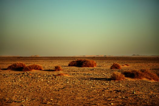 Landscape of the desert near El Gouna, rocks and dry plants