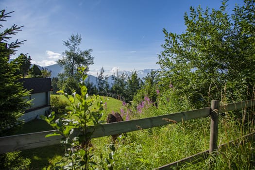 Landscape, Rigi Kaltbad, Switzerland