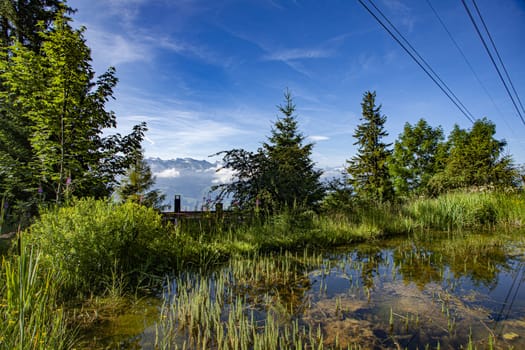 Landscape, Rigi Kaltbad, Switzerland