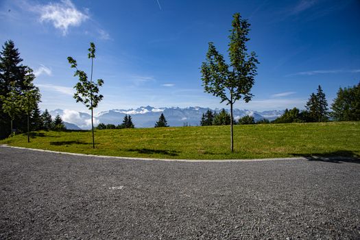 Swiss Alps landscape up in rigi Kalrtbad, with trees and mountains