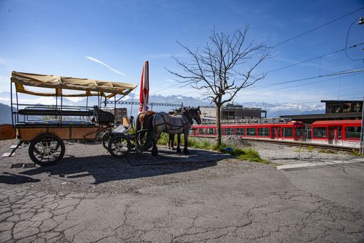 Landscape, Rigi Kaltbad, Switzerland with horse and carriage