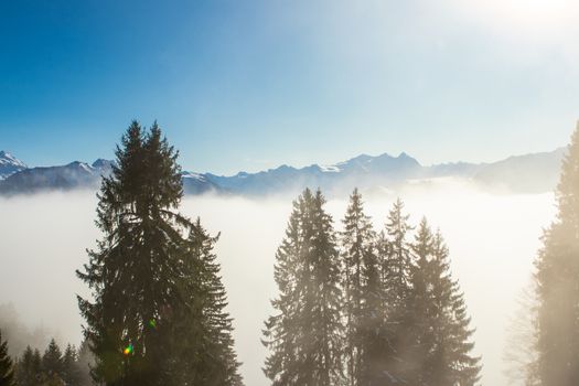 above the fog in Lungern with the swiss Alps